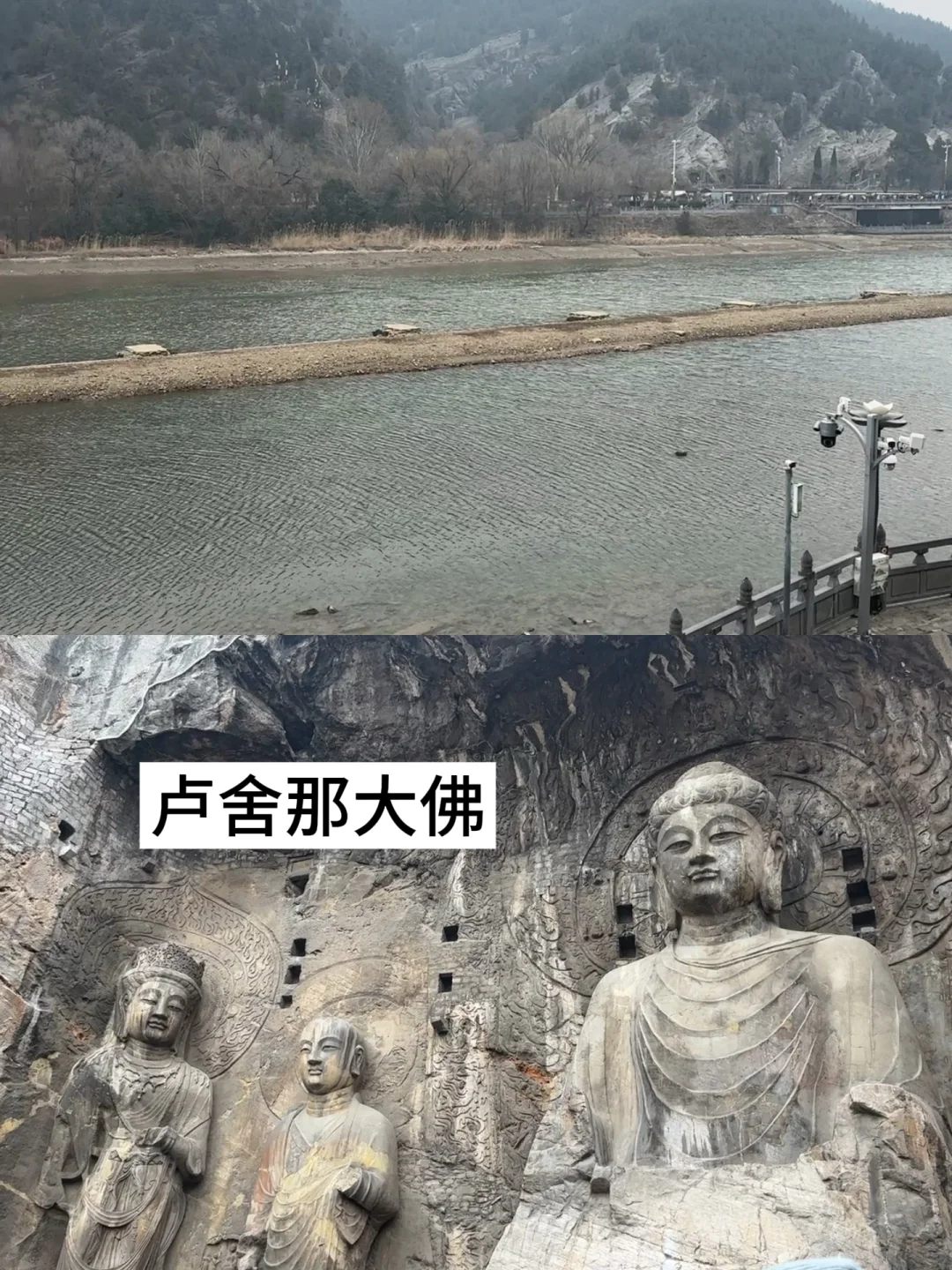 宁波→洛阳4天3夜，盛唐美学拉满✨