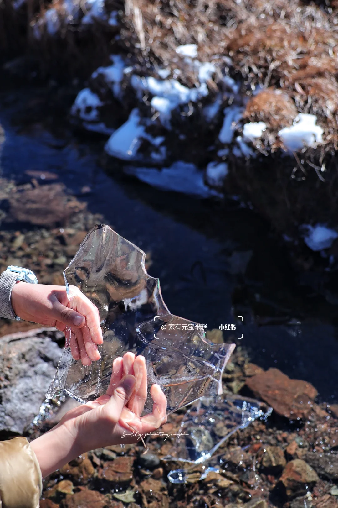 为了这些瞬间 特意去了一趟春城之巅轿子山