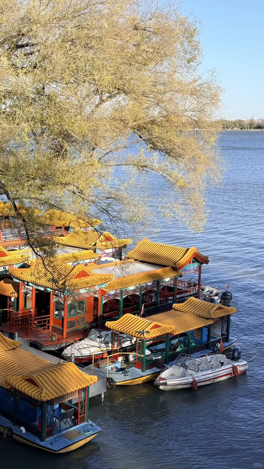 11.16的颐和园！美绝了