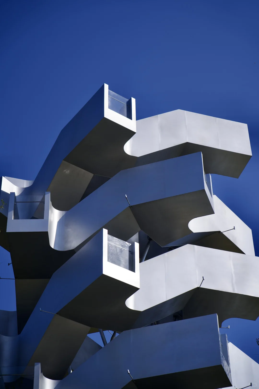 在武汉蔡甸找到了鹿客岛的平替,乌桕树已红