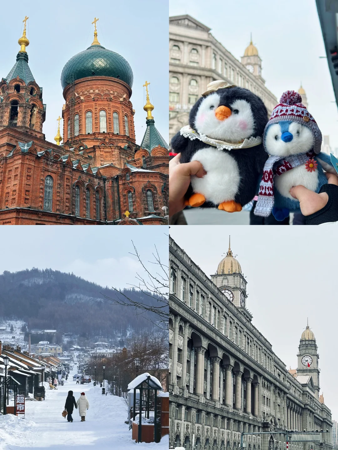 在哈尔滨的4天3晚❄️南方J人自由行攻略