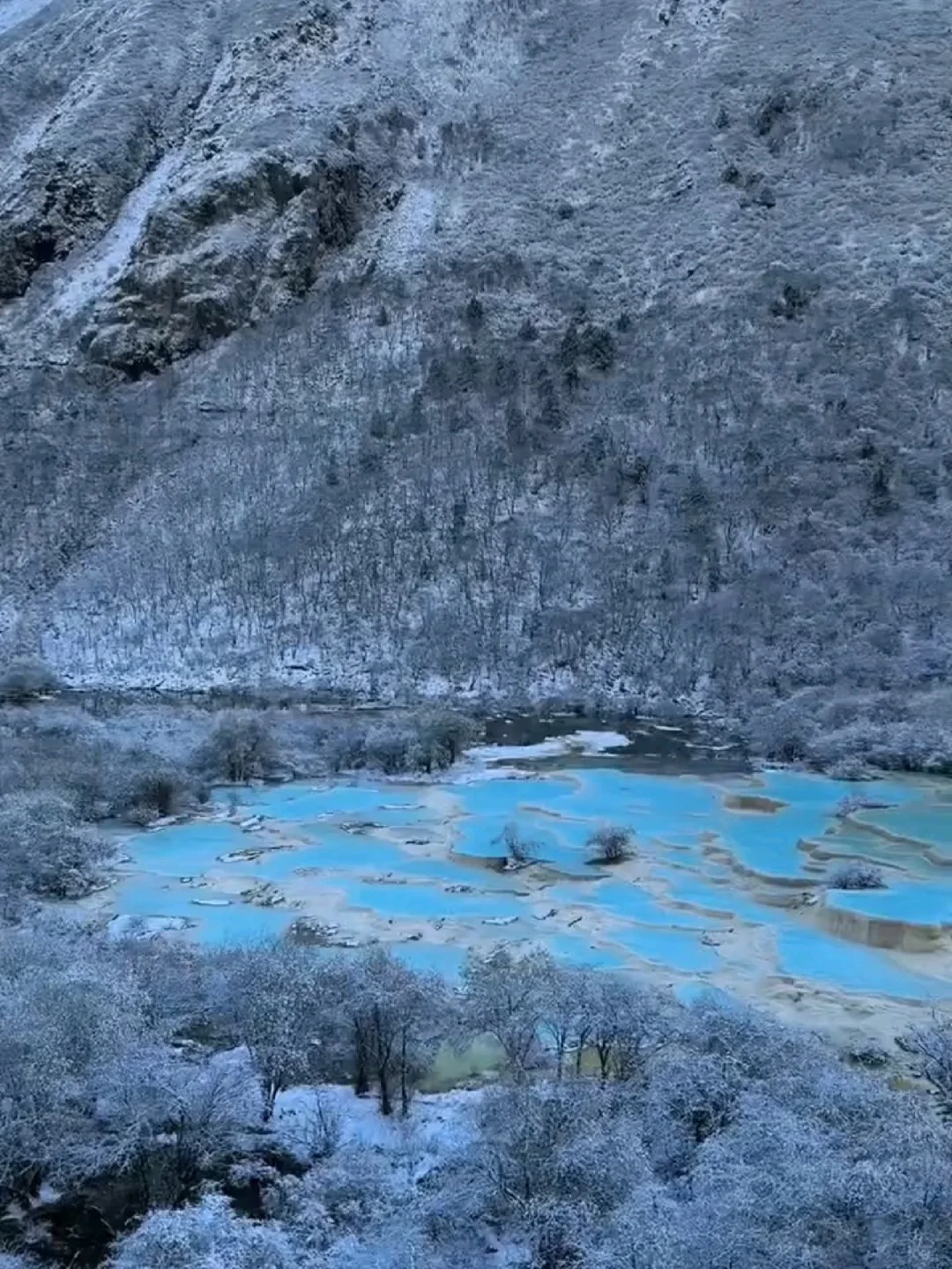 11-12月的川西才是冬日仙境的天花板👏