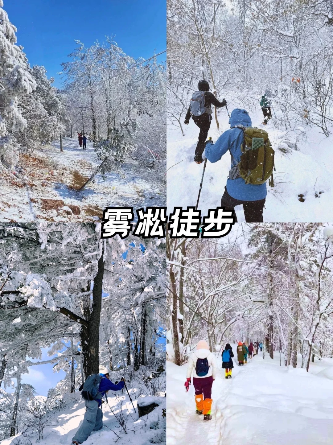 12-1月必冲临安🔥超火滑雪➕温泉团建攻略‼️