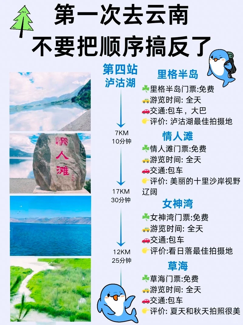 第一次去云南超全旅游攻略🌱