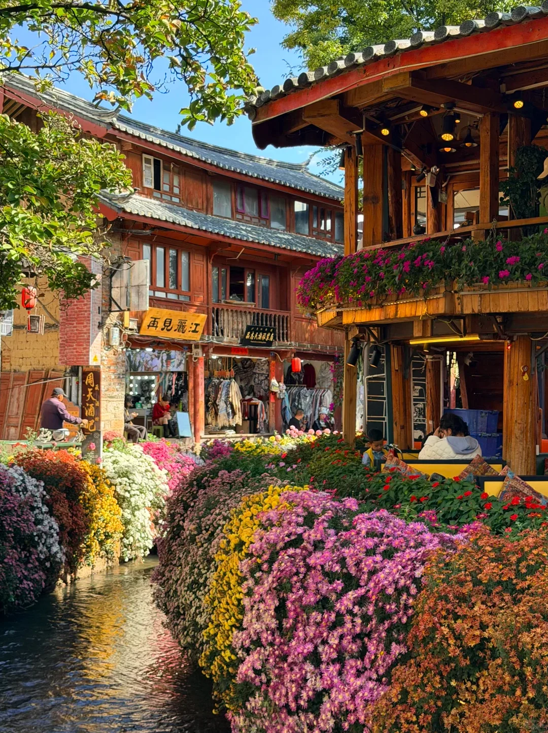 云南旅游攻略|12~2月出行保姆级指南✅