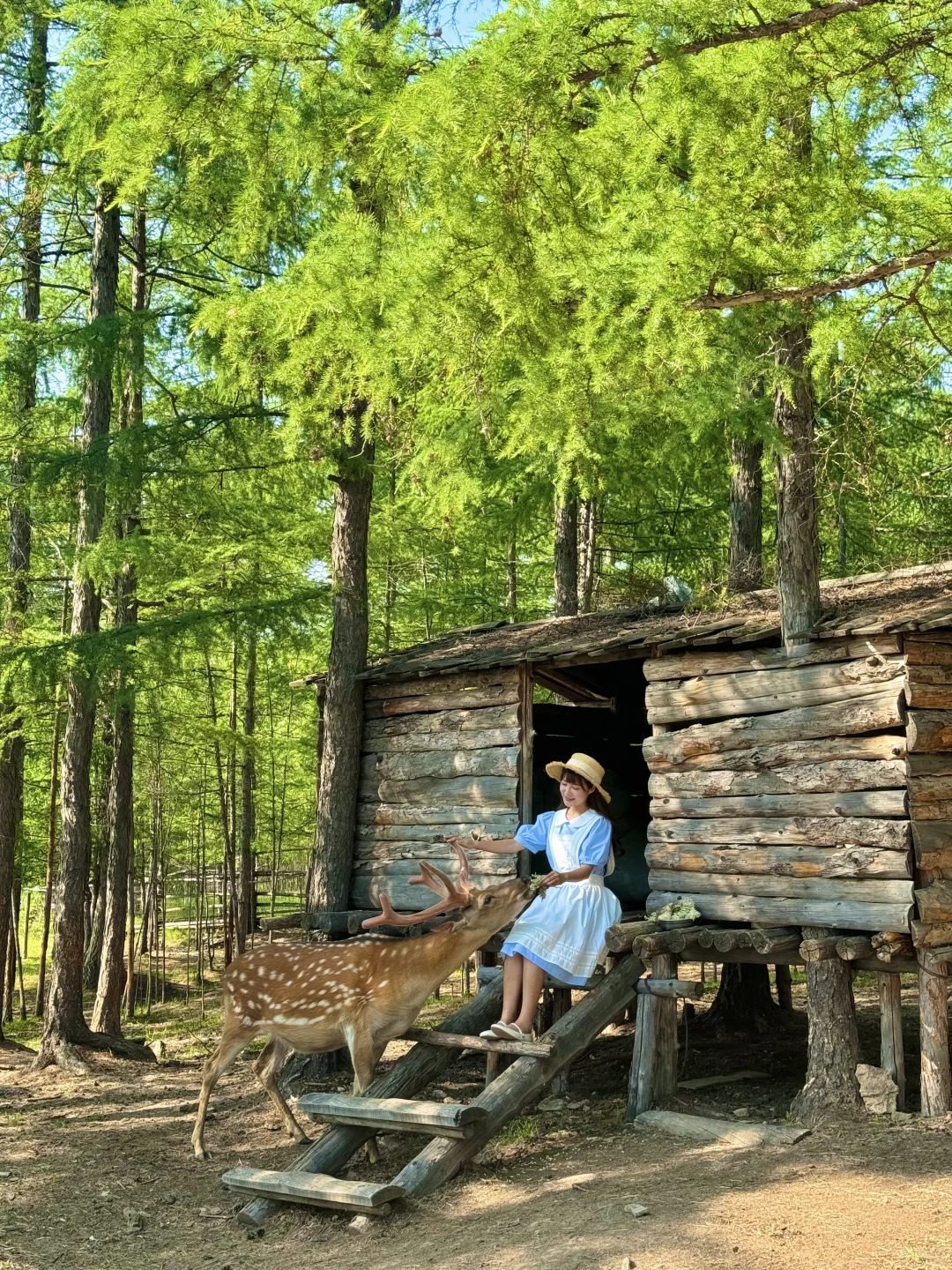 这辈子都舍不得删的live图🌿