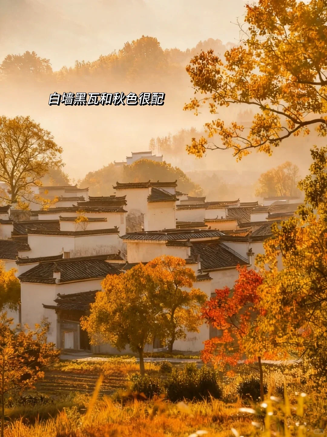 《国家地理》没骗人😭11~12月去徽州赏秋绝了