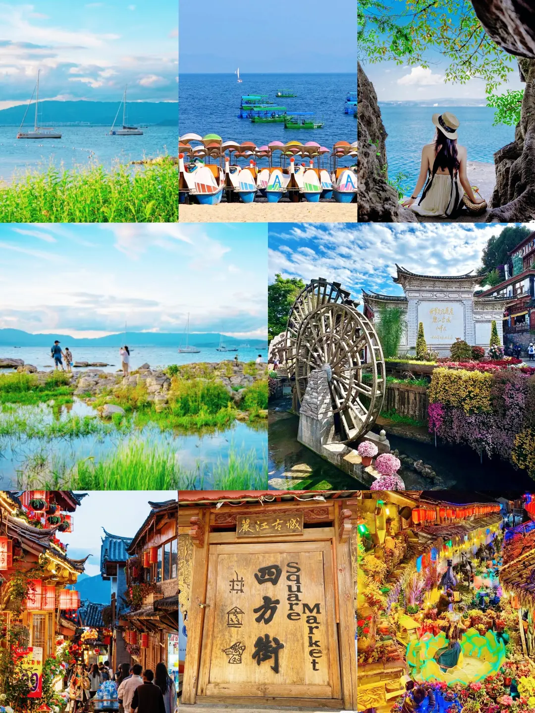 寒假春节去云南旅游📍怎么玩❗看完全搞懂