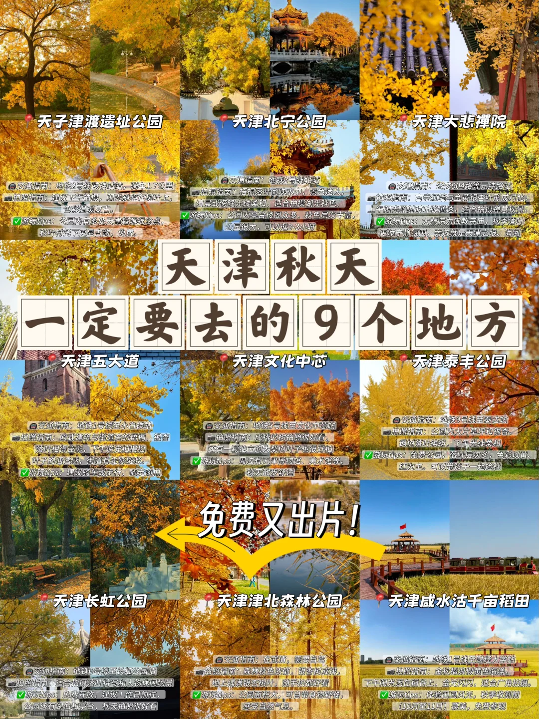 3年总结!天津秋天一定要去的9️⃣个地方!