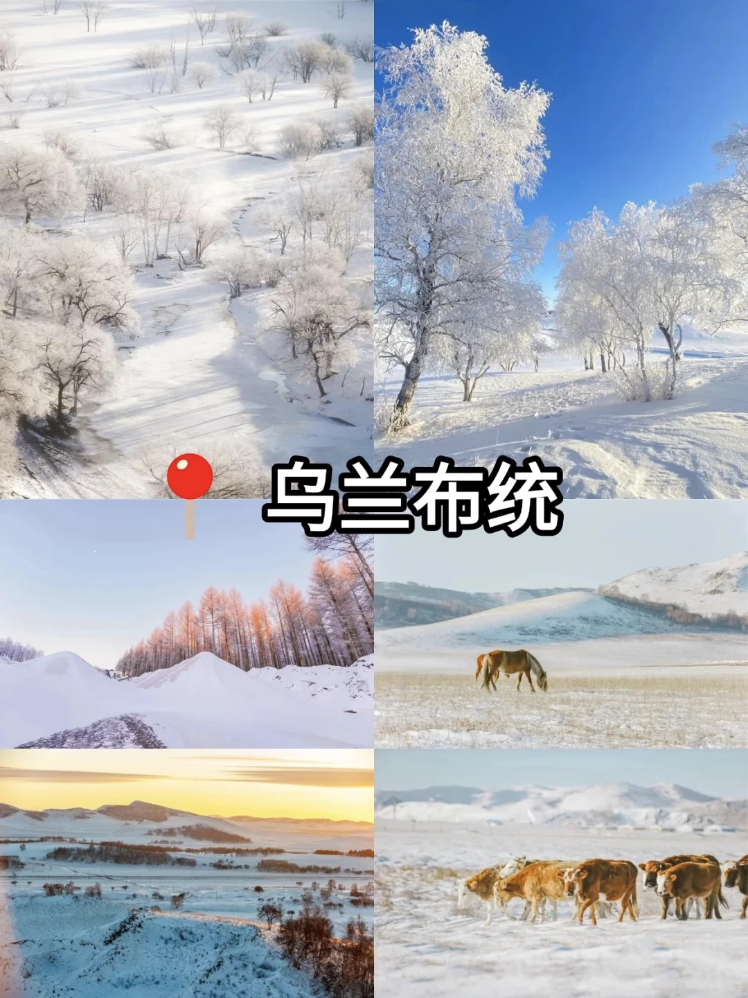 别再被骗了😭去乌兰布统这样玩,才值得❗