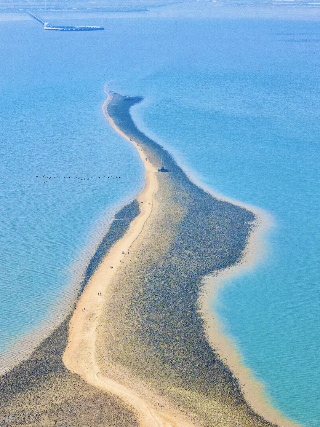说江苏海不蓝的,你肯定没去过连云港‼️
