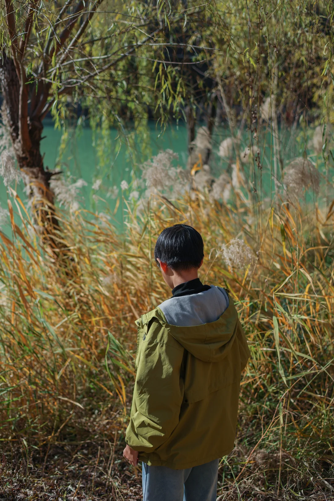 石家庄适合遛娃的景区,淡季人少,景色还美