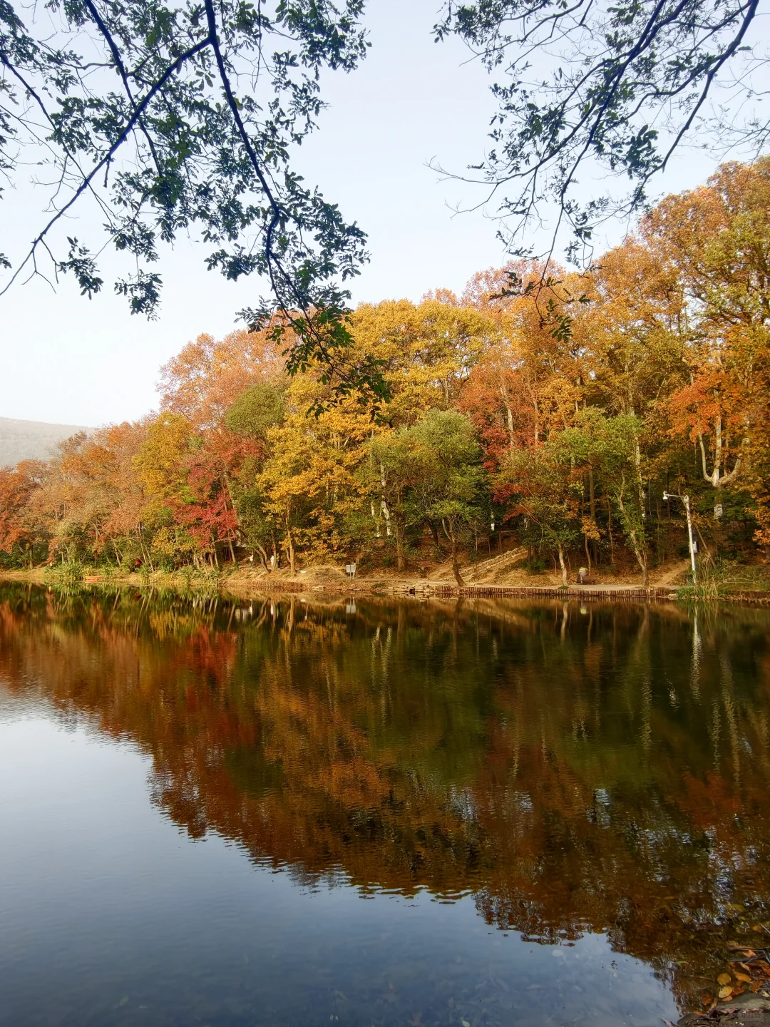 南京钟山流徽榭赏秋绝美路线