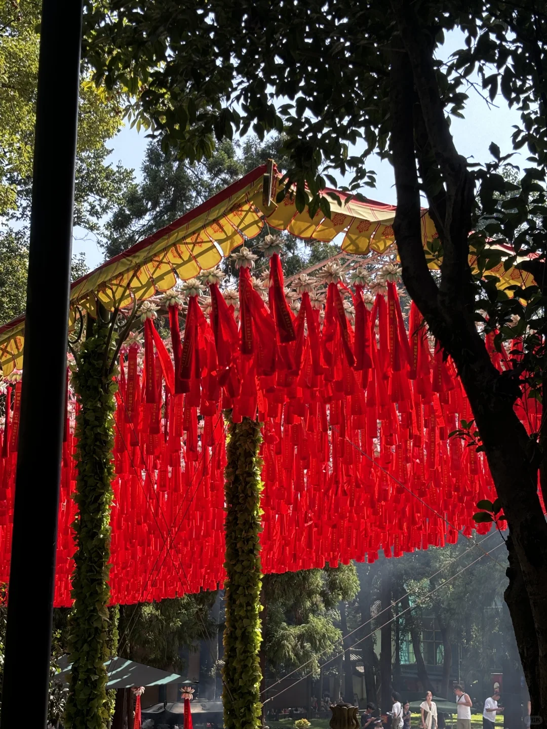 为了这1️⃣8️⃣张照片，特意去了一趟杭州…