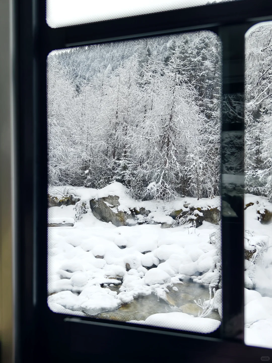 成都周边玩雪日记❄️|又免门票啦
