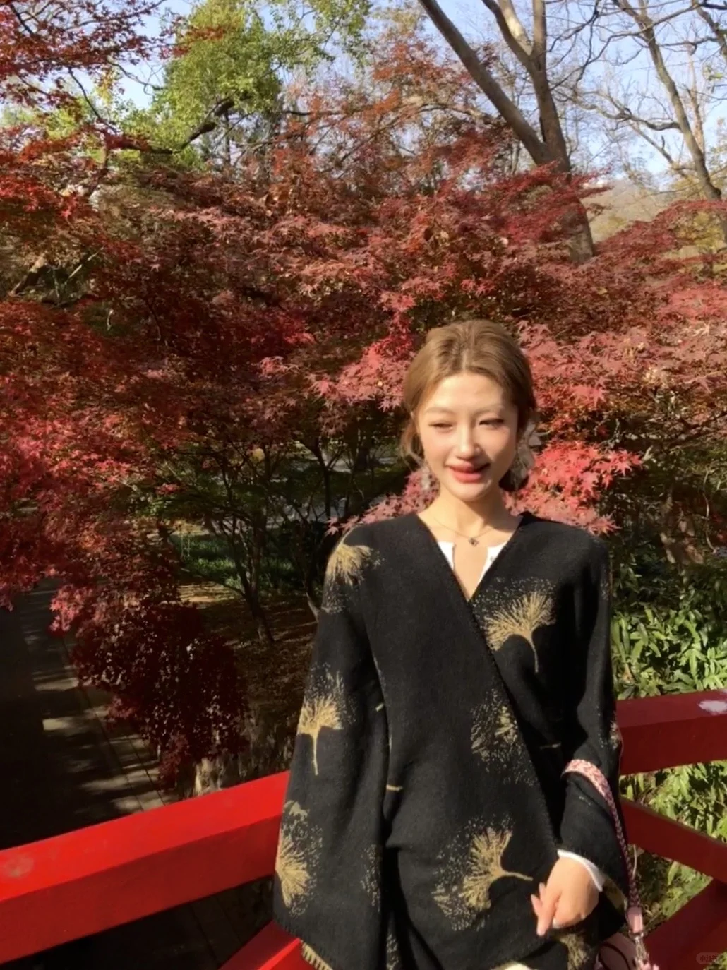 11.28实况！不在京都 在南京🍁枫叶美哭了🥹