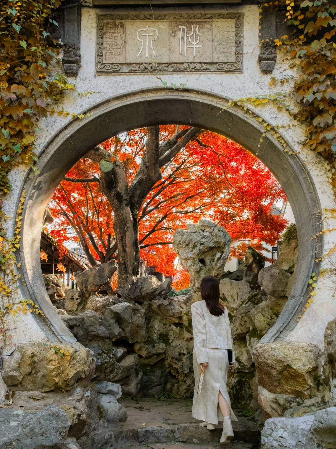 我以为苏州的秋天够美了,直到我来了无锡