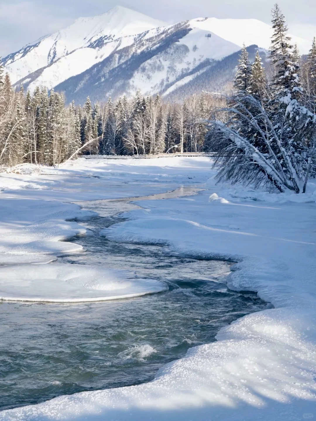 喀纳斯隐藏秘境｜99%游客不知道的打卡点