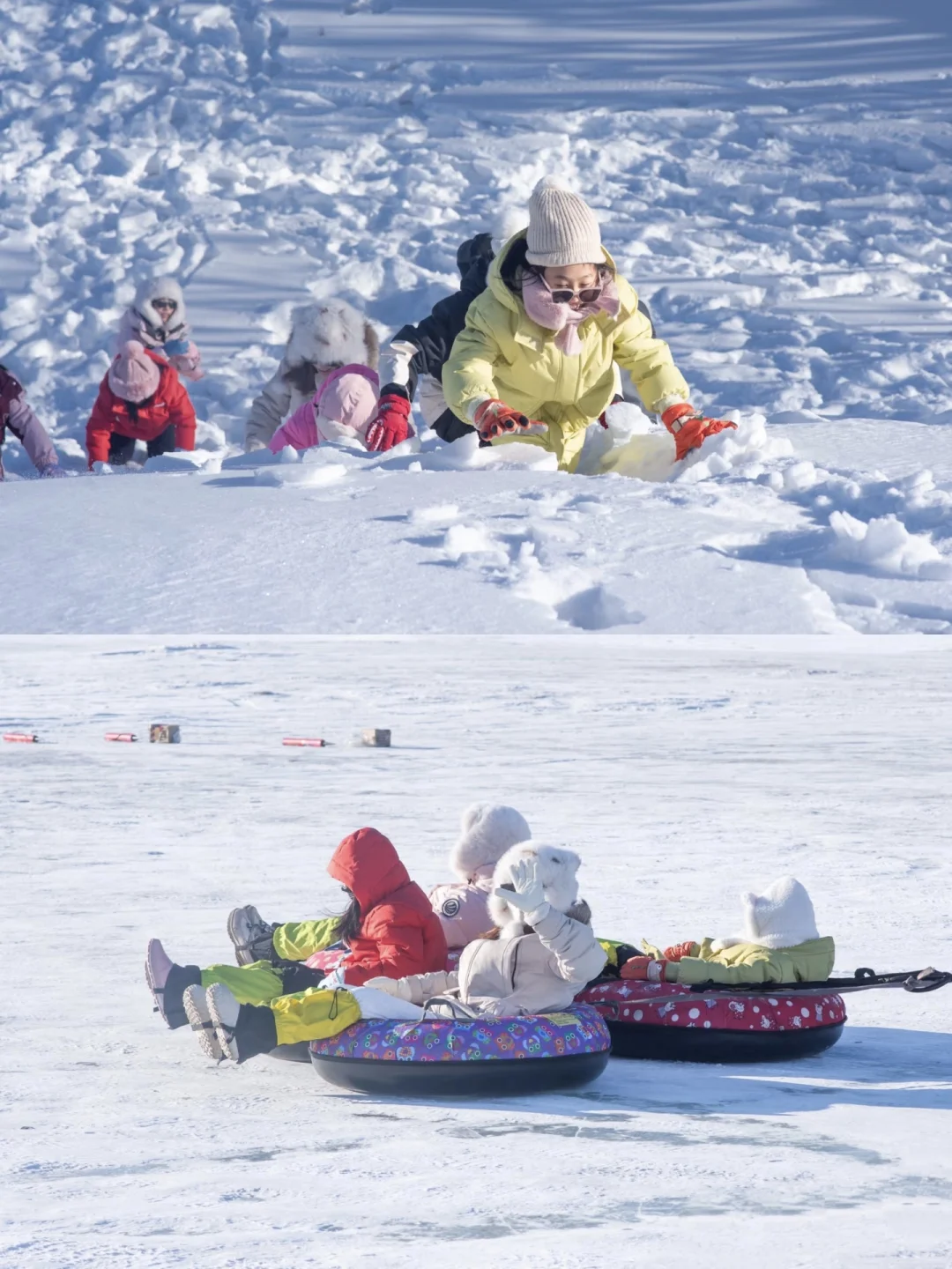 别再被骗了😭去乌兰布统这样玩,才值得❗