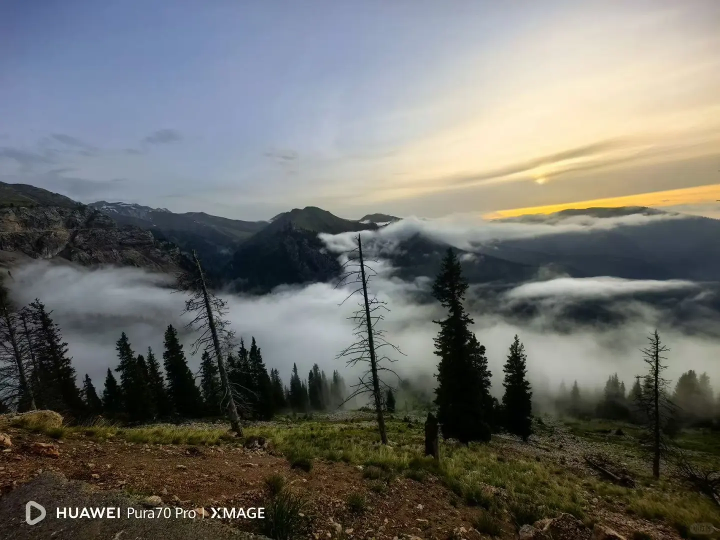 12.1📍新疆已回,不博眼球(纯分享版)!