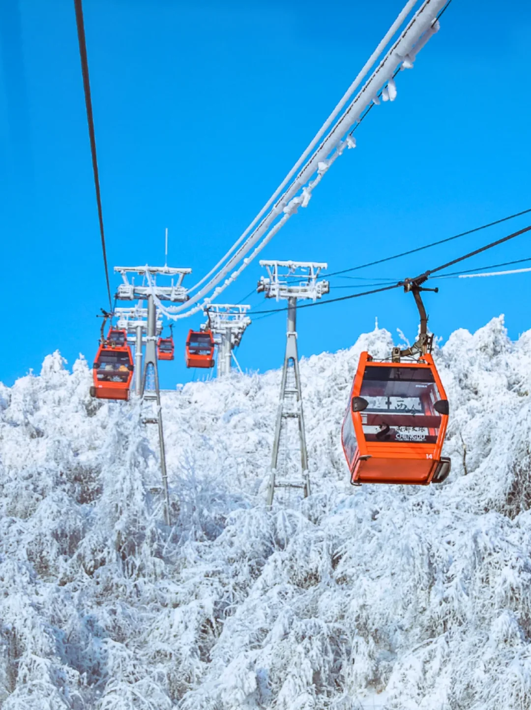 成都→西岭雪山包车一日游｜懒人玩雪攻略❄