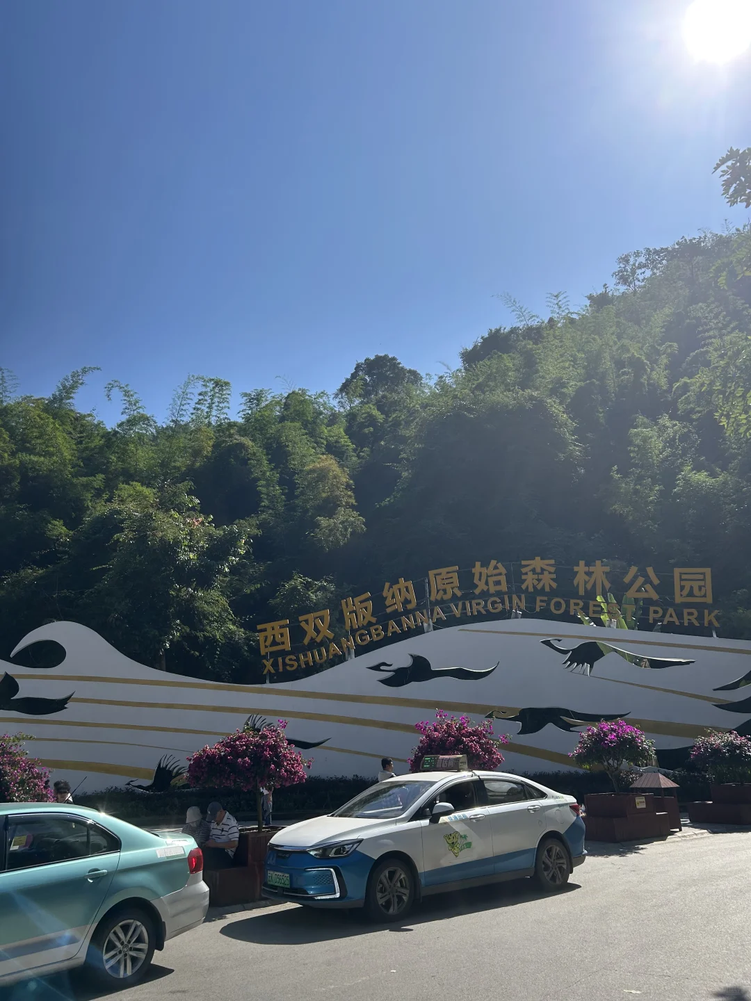 离职西双版纳篇