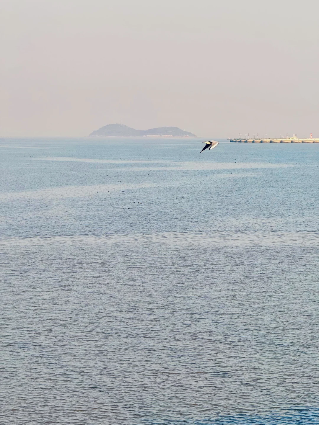 说江苏海不蓝的,你肯定没去过连云港‼️
