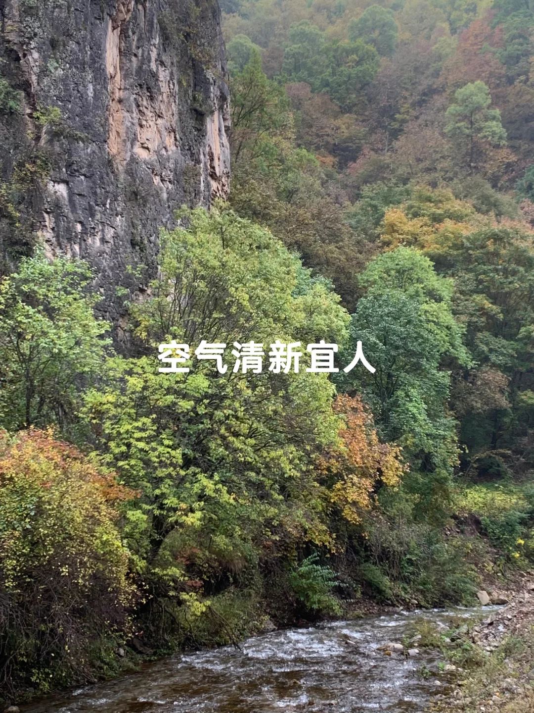 避开人潮！山西 “小阿勒泰” 人少景美🌲