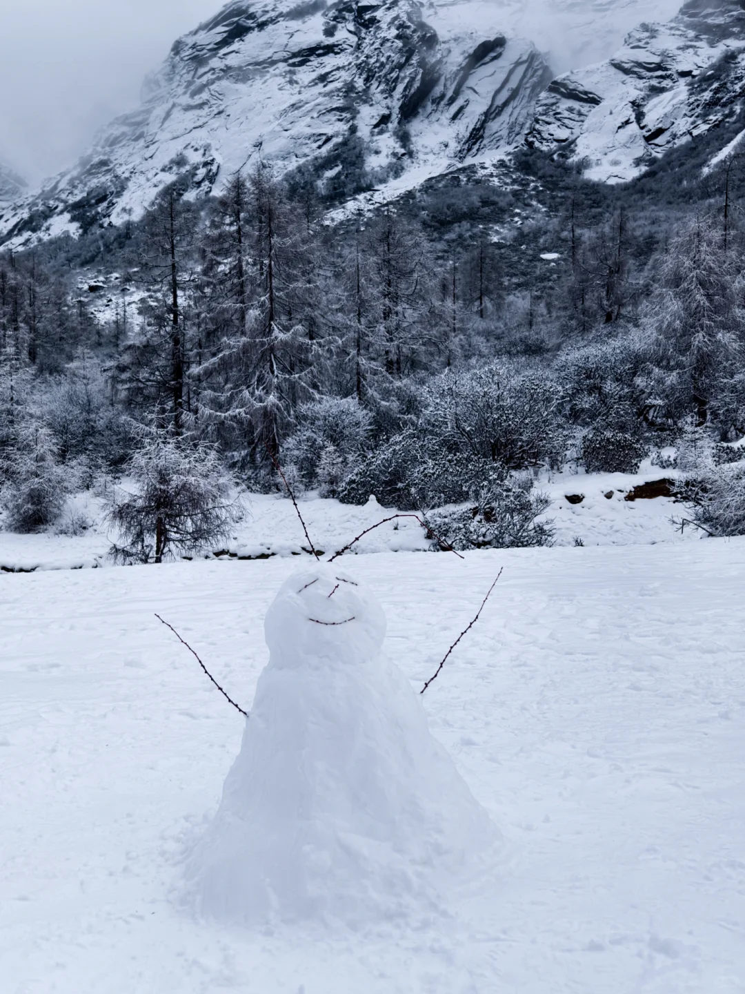成都周边玩雪日记❄️|又免门票啦