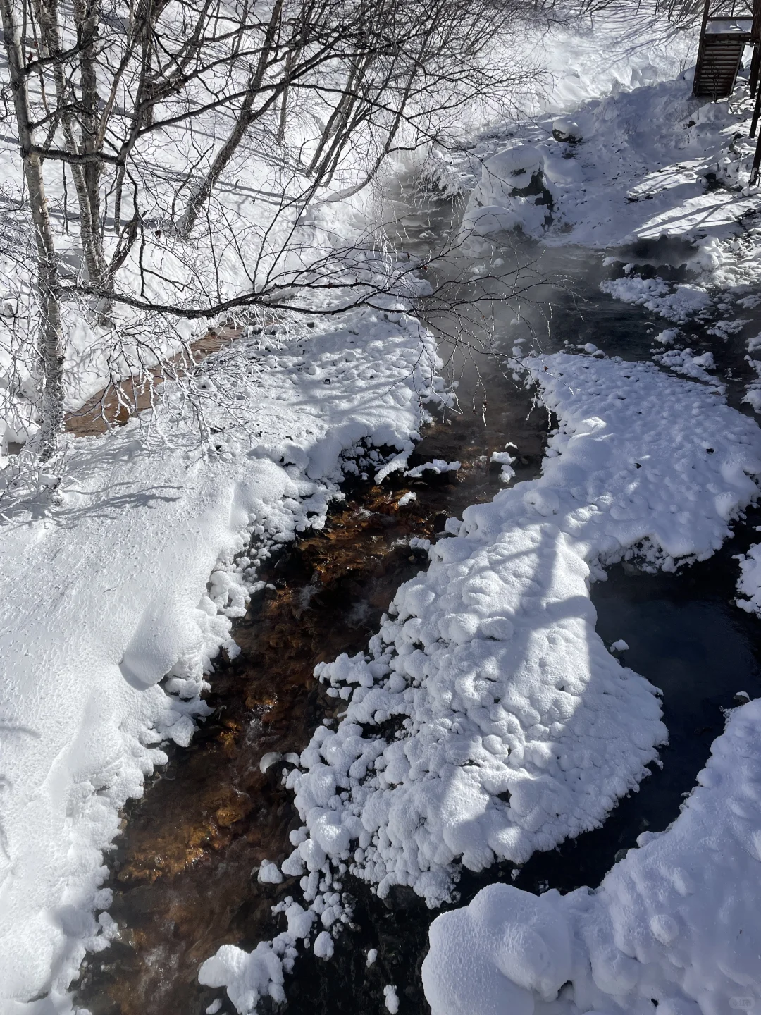 12.2长白山热冒烟了...