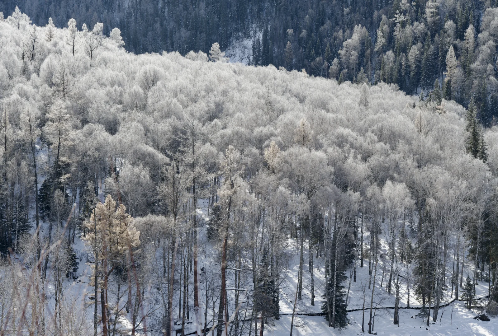 夕阳下的将军山、喀纳斯、白哈巴