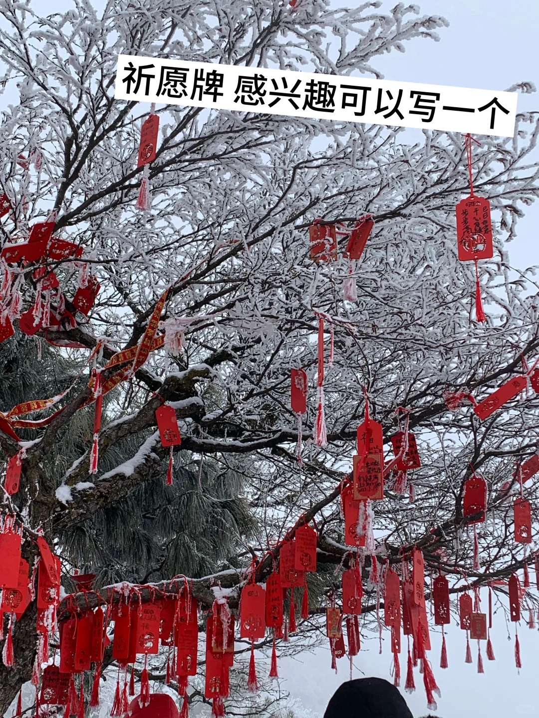 宁波→洛阳4天3夜，盛唐美学拉满✨