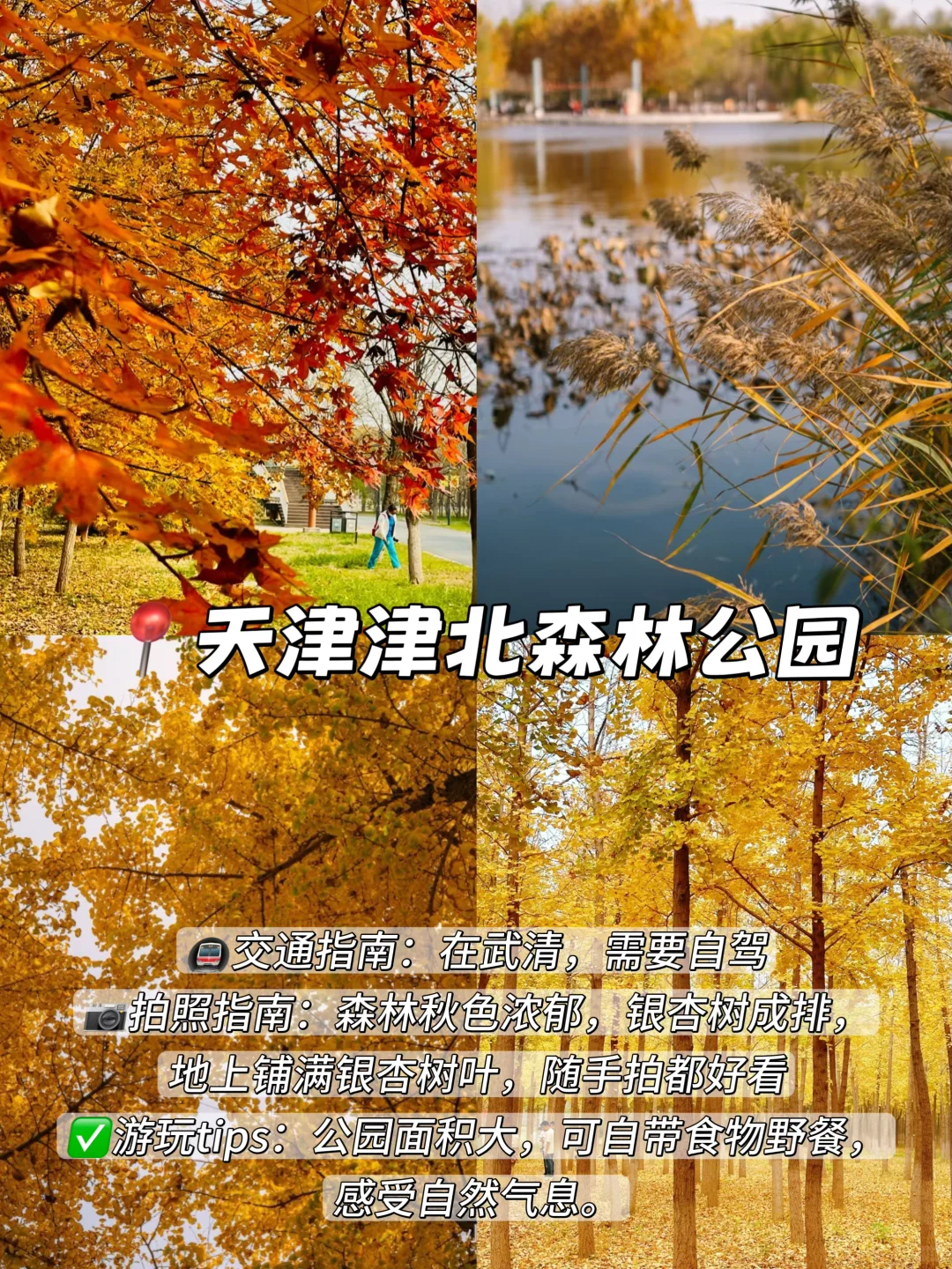 3年总结!天津秋天一定要去的9️⃣个地方!