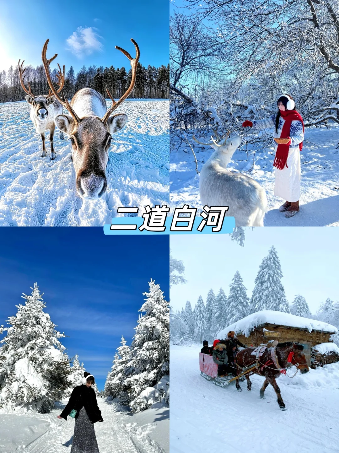 长白山雪季必冲❗小团5日沉浸式体验玩雪