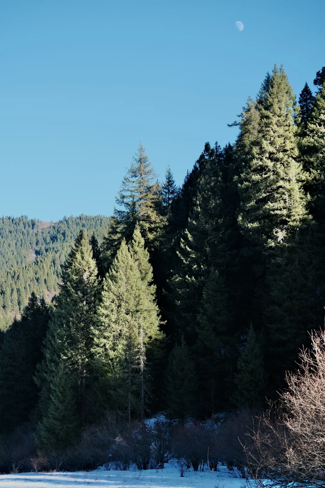 人均600💰松潘两日游(低能量人群适用)