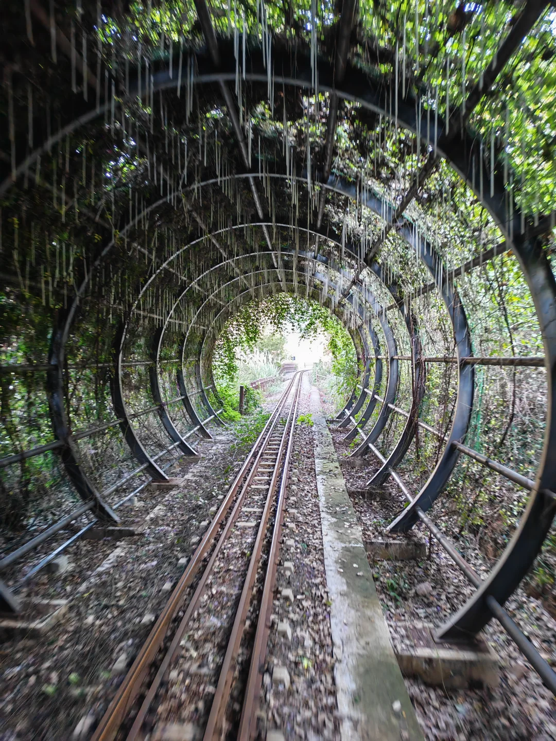 说走就走D3:神仙居