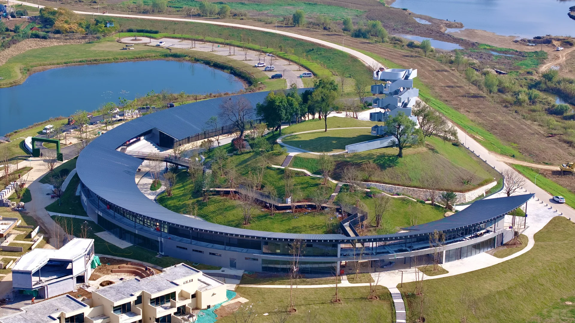 在武汉蔡甸找到了鹿客岛的平替,乌桕树已红