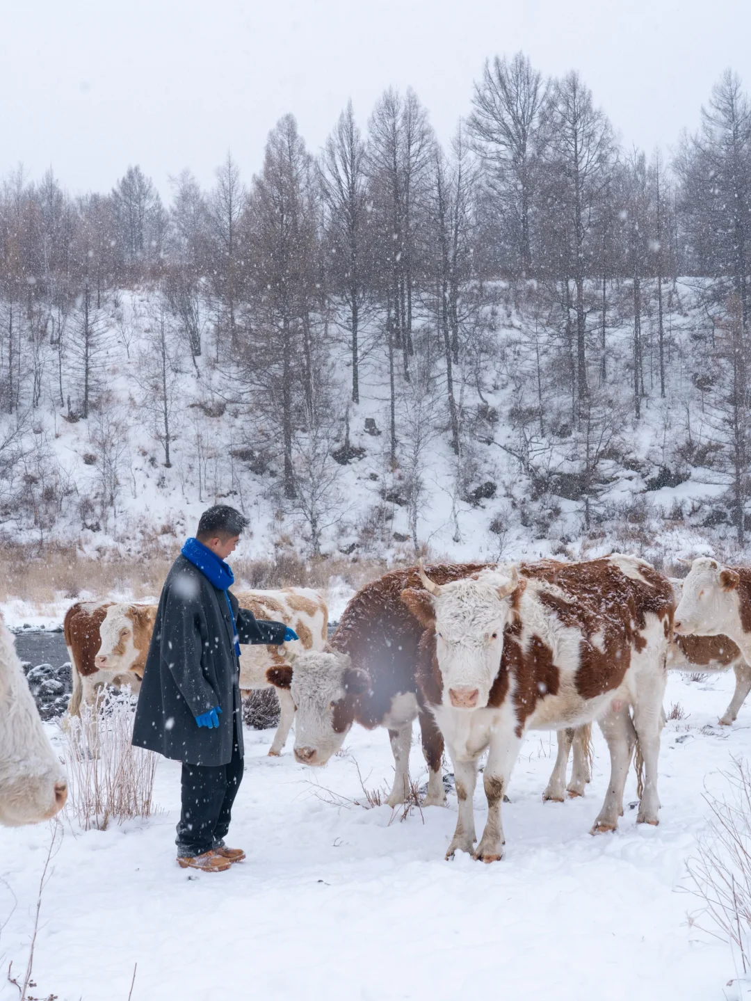“后来,我逢人便说呼伦贝尔的冬天有多浪漫~”