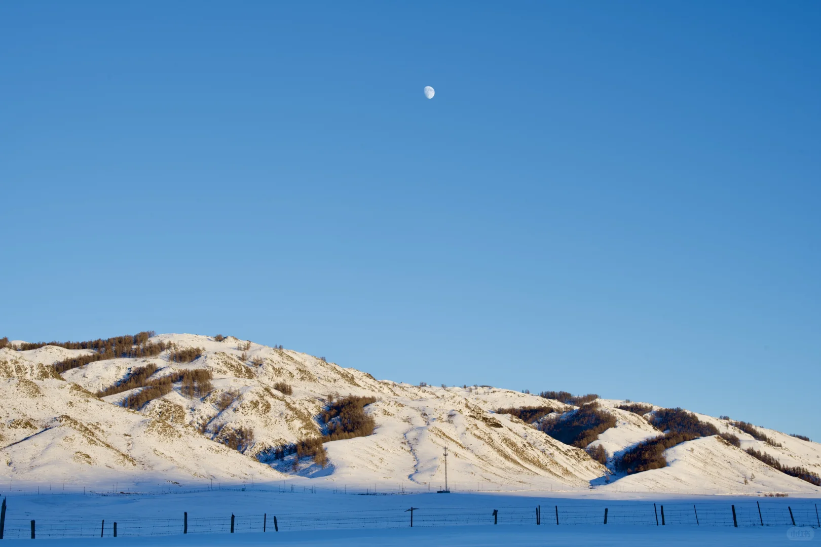 夕阳下的将军山、喀纳斯、白哈巴