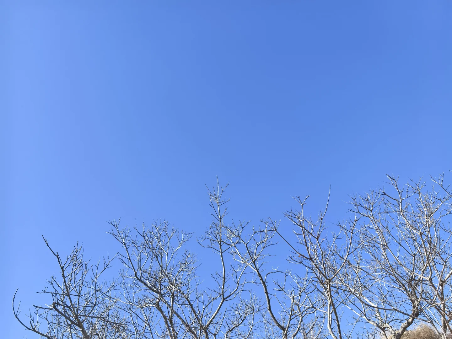 邯郸爬山：体验征服佛照山的一天