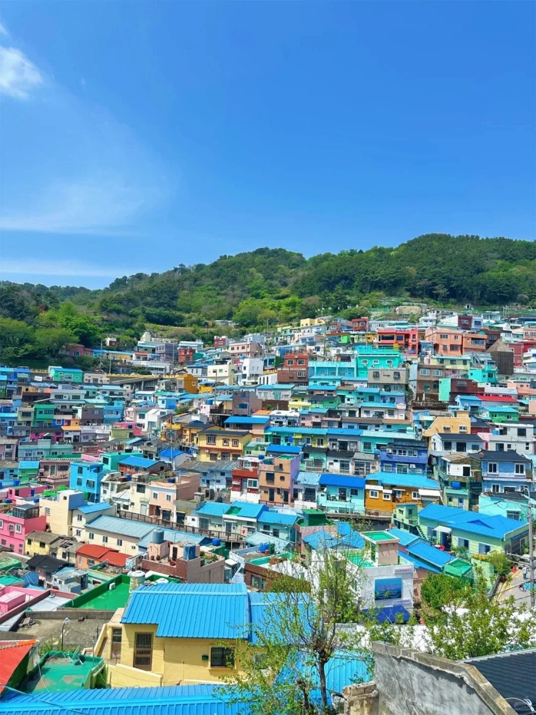 韩国必打卡景点（附超详细地址‼️