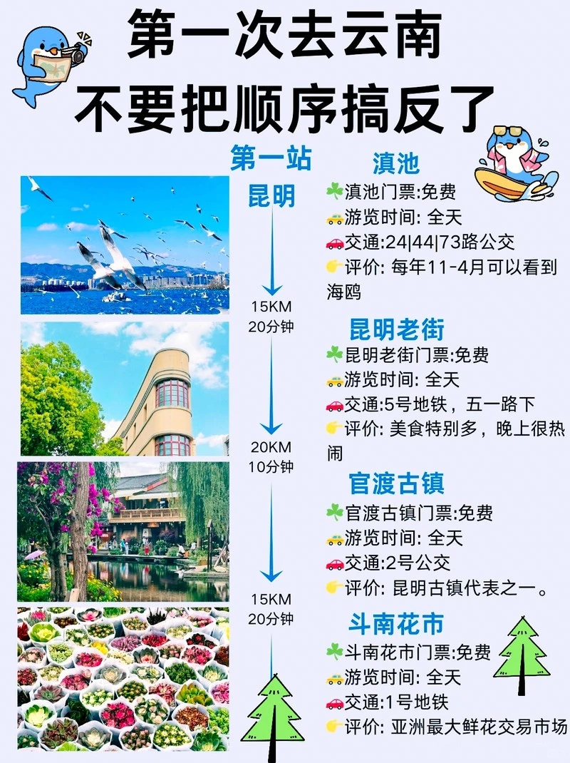 第一次去云南超全旅游攻略🌱