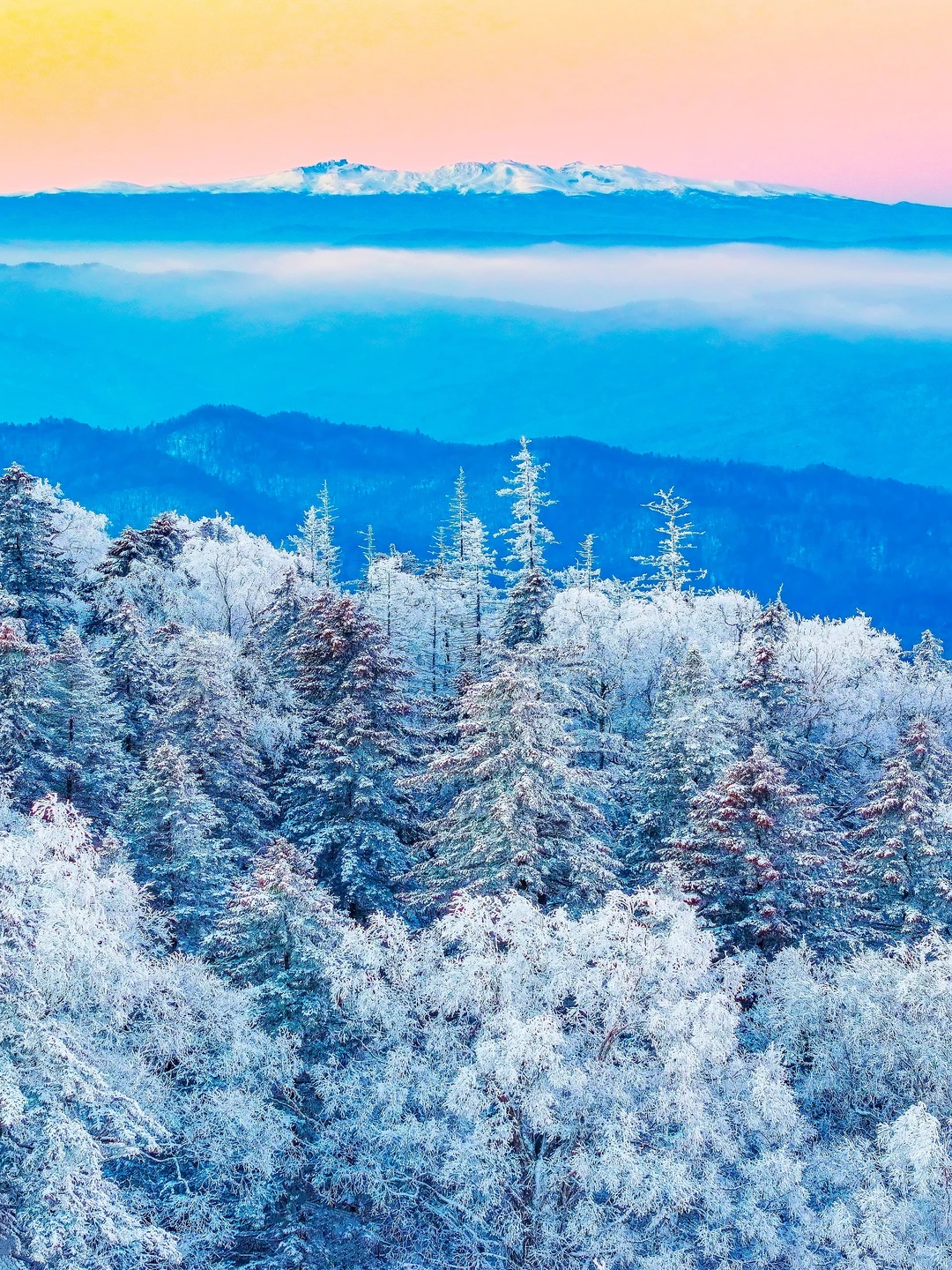 比肩阿尔卑斯，南方人的冬季必玩，3个字