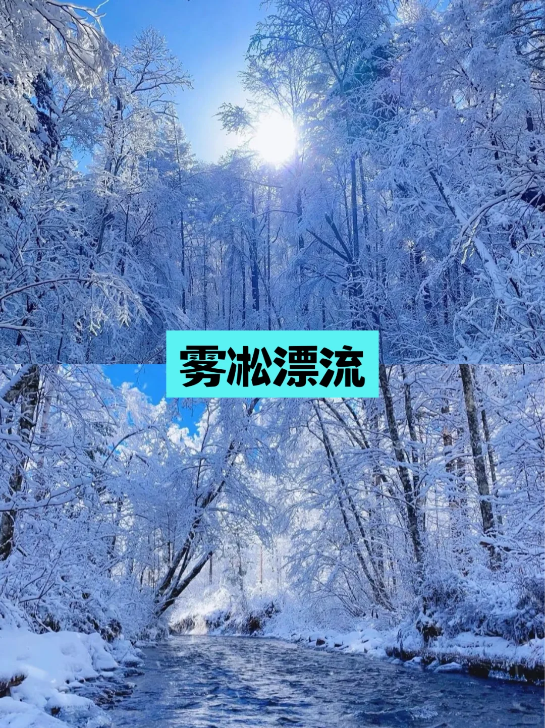 我宣布❗长白山靠谱🔥2-8人小团😭找到了