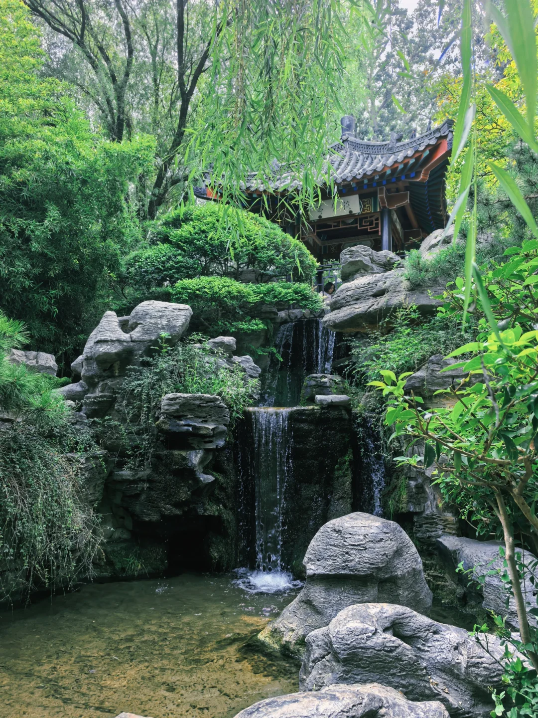 老舍笔下的济南趵突泉