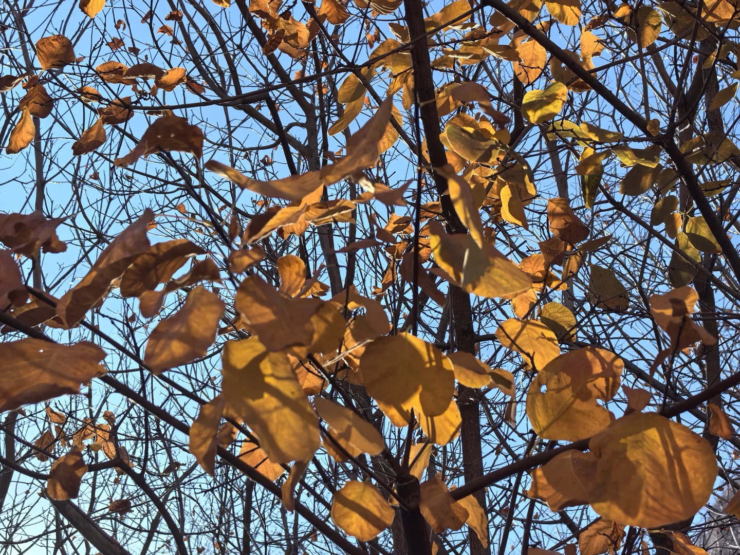 邯郸爬山：体验征服佛照山的一天