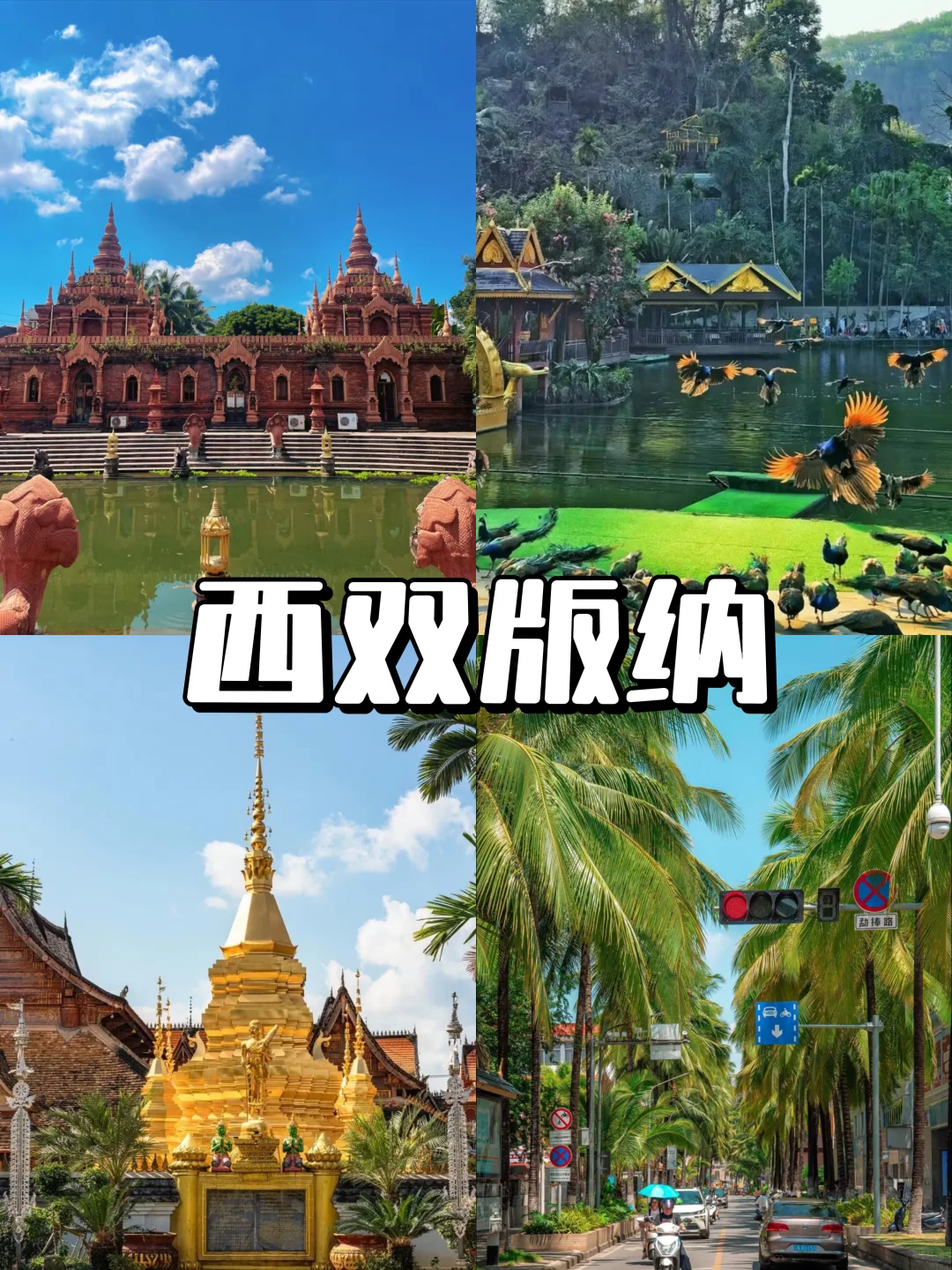 12-2月逃离寒冷❄️冬季反向旅游攻略来啦🙌🏻