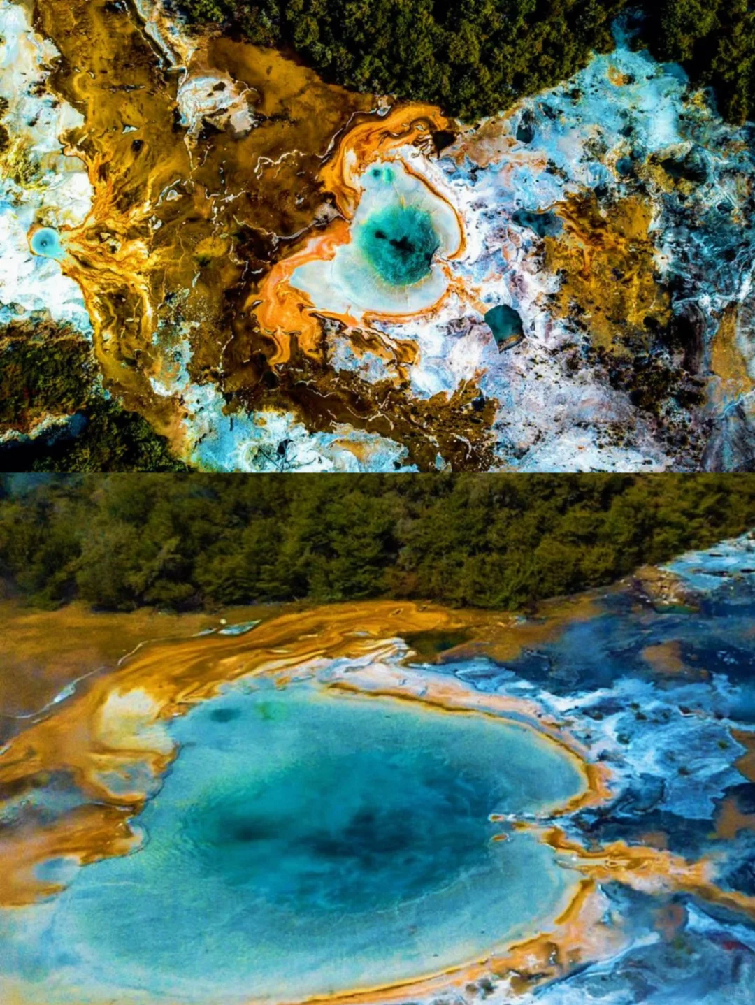 新西兰绝密仙境|乘船才能进的地热山谷🌋