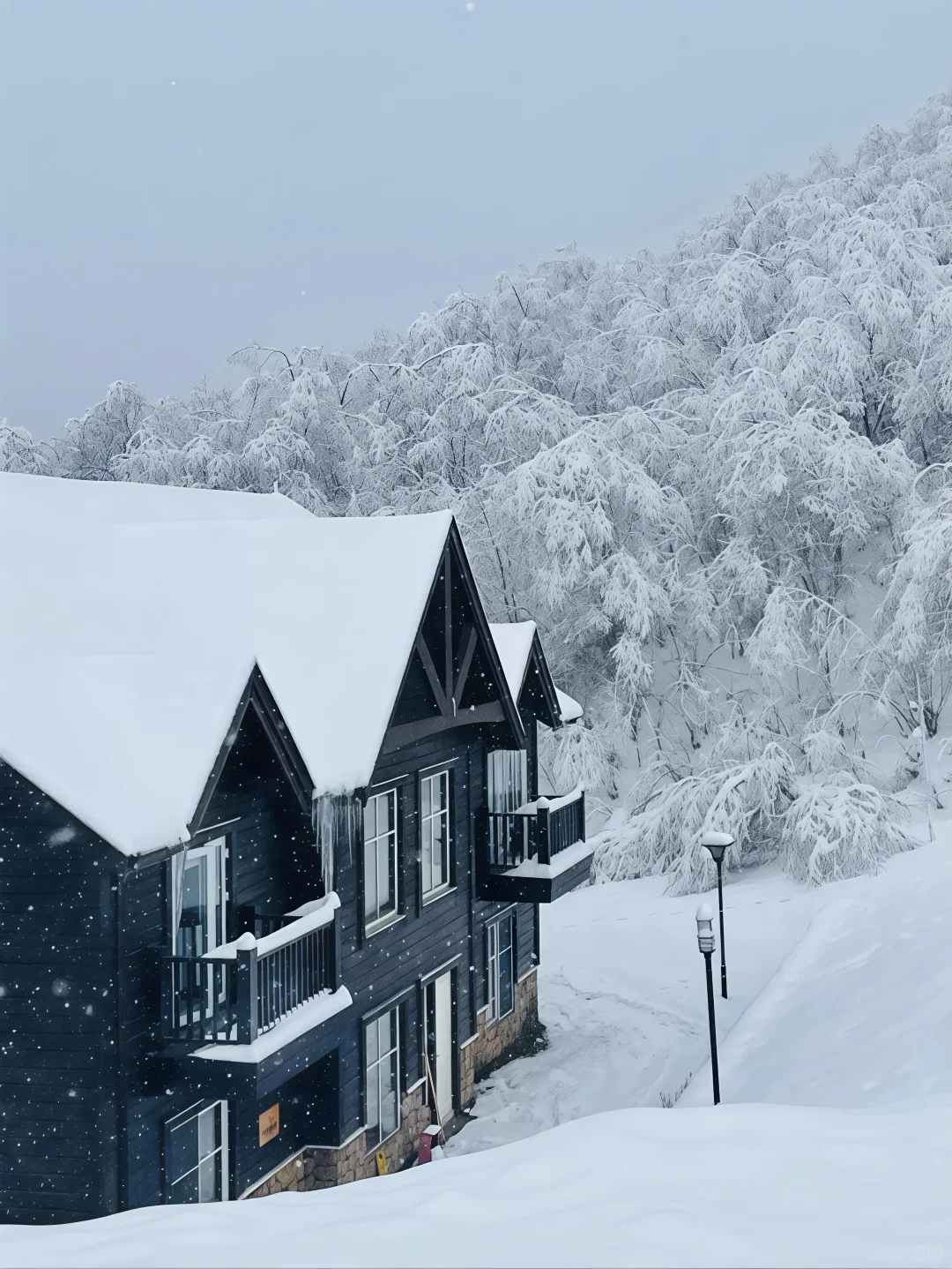 来成都住我家吧!128俩人😭雪景小木屋