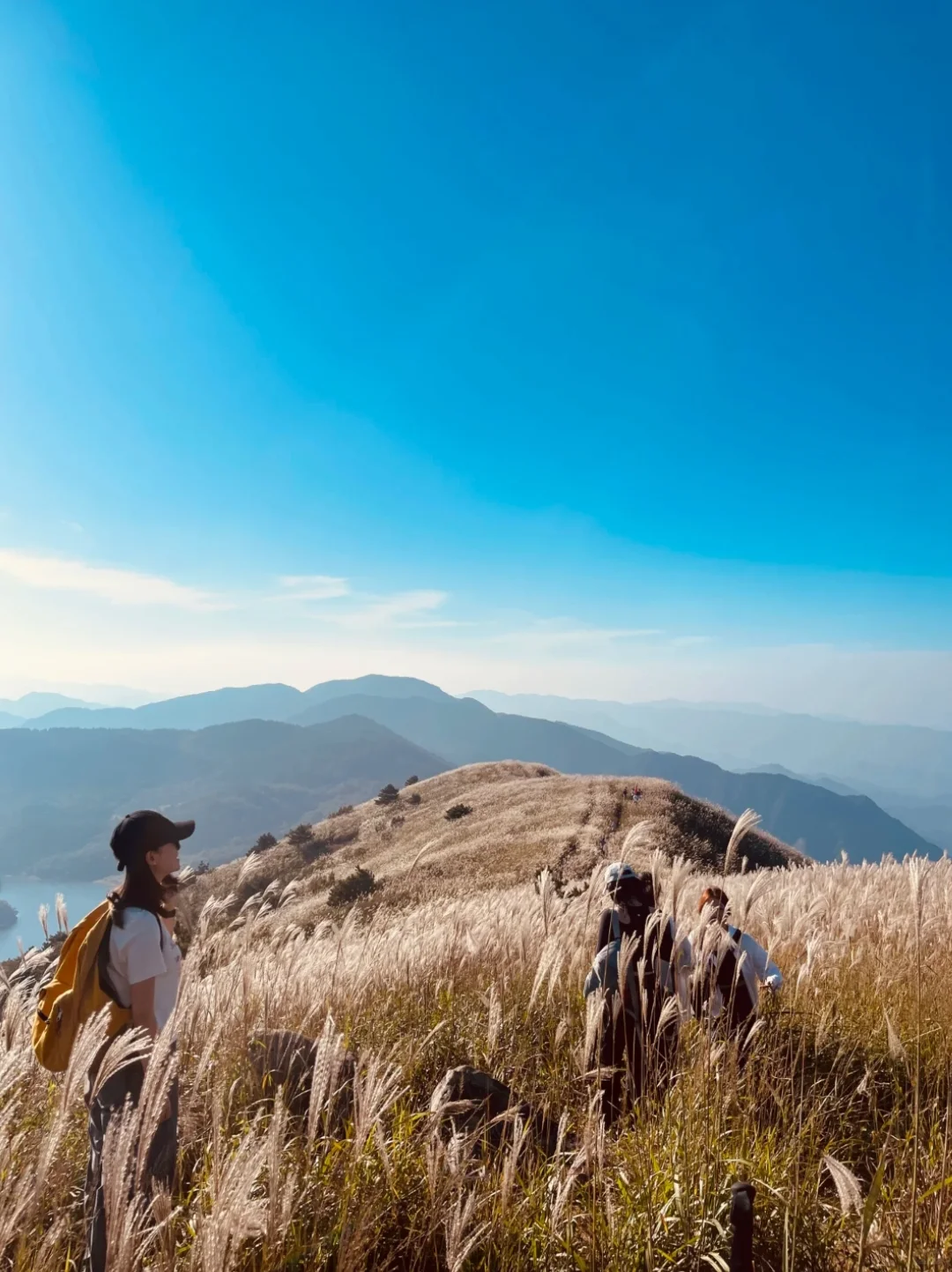 我私藏最美9条江浙沪赏秋路线🍂没有平替